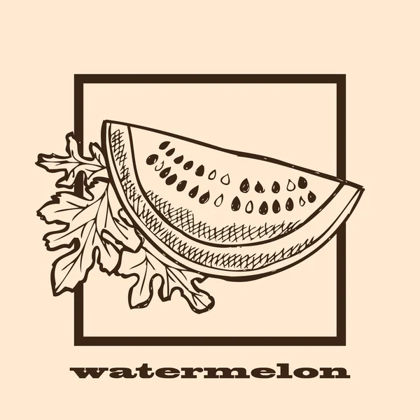 Handgezeichnete Wassermelone — Stockvektor