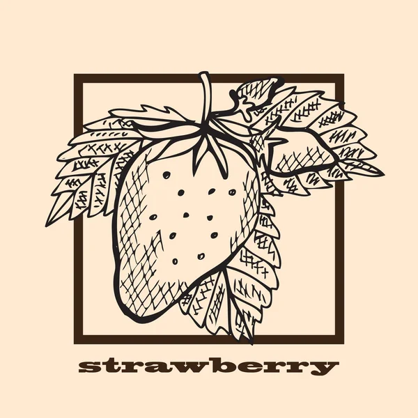 Strawberry gambar tangan - Stok Vektor