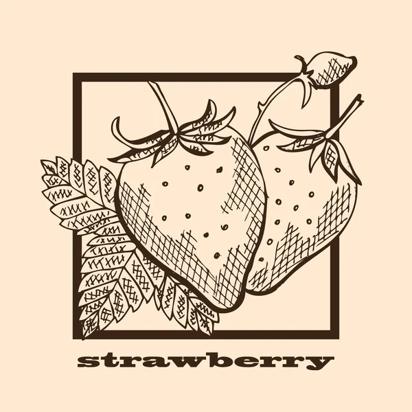 Fresas extraídas a mano — Vector de stock