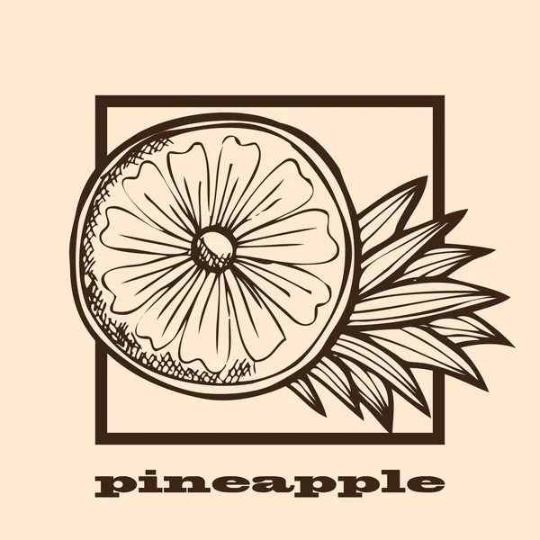 Piña dibujada a mano — Vector de stock