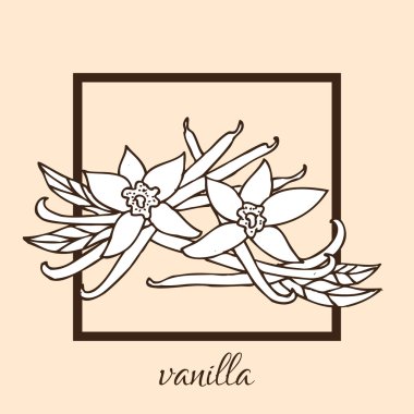çizilmiş vanilya el