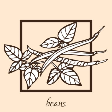 Fasulye el çekilmiş