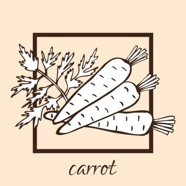 çizilmiş havuç ver