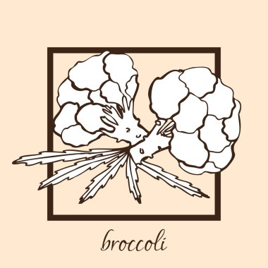 elle çizilmiş brokoli