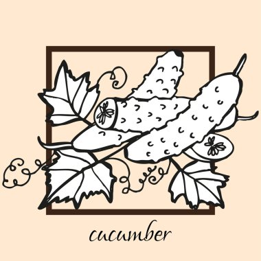 elle çizilmiş salatalık