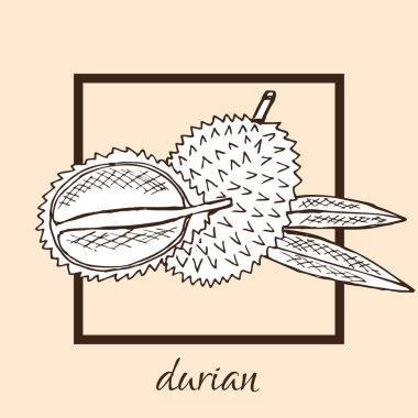 çizilmiş durian el