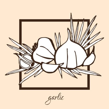 el çekilmiş sarmısak