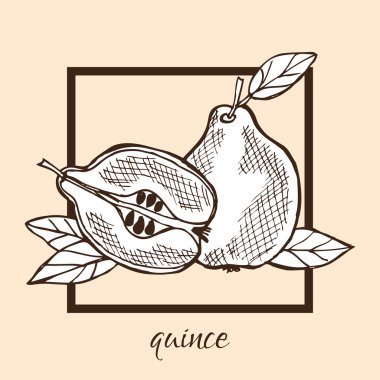 el çizilmiş ayvalar