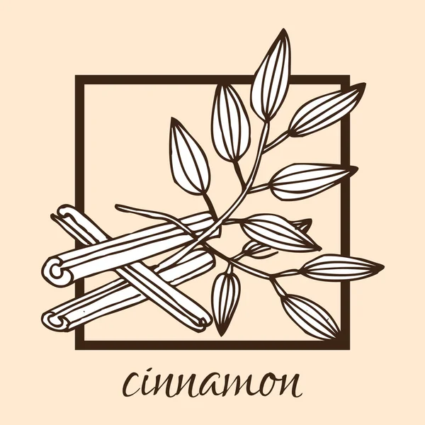 Hand drawn cinnamon — Stock Vector