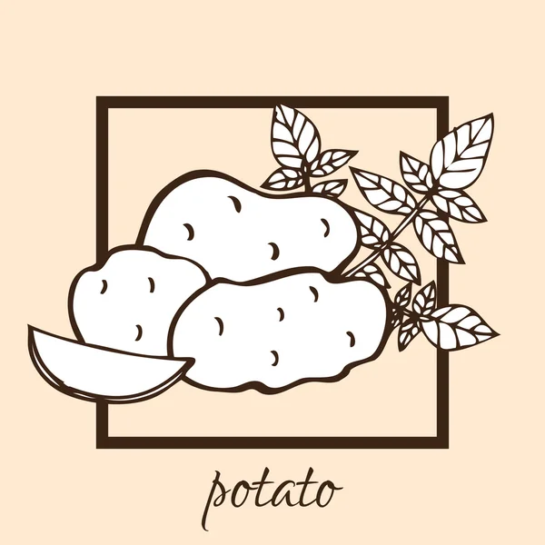 Handritade potatis — Stock vektor