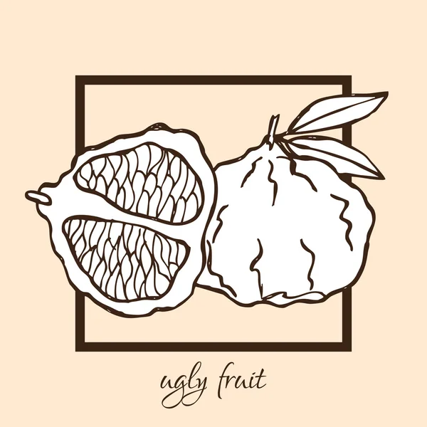 Hand drawn ugly fruit — Stock Vector