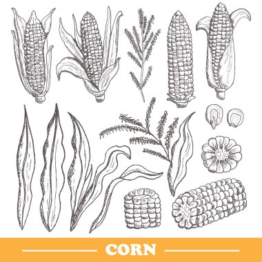 elle çizilmiş Mısır seti