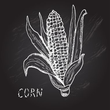 çizilmiş Mısır el