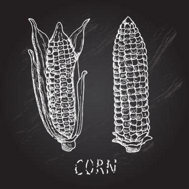 çizilmiş Mısır el