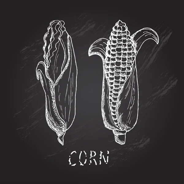 Hand drawn corns — Stock Vector