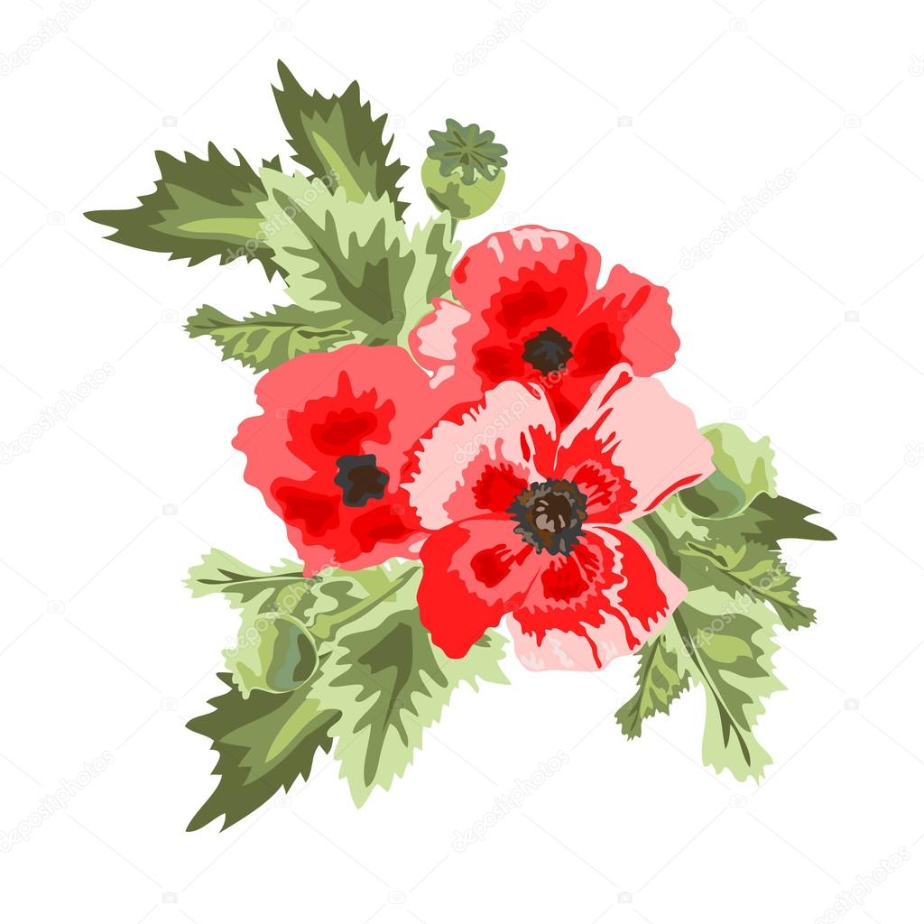ポピーの花の花束 \u2014 ストックベクタ