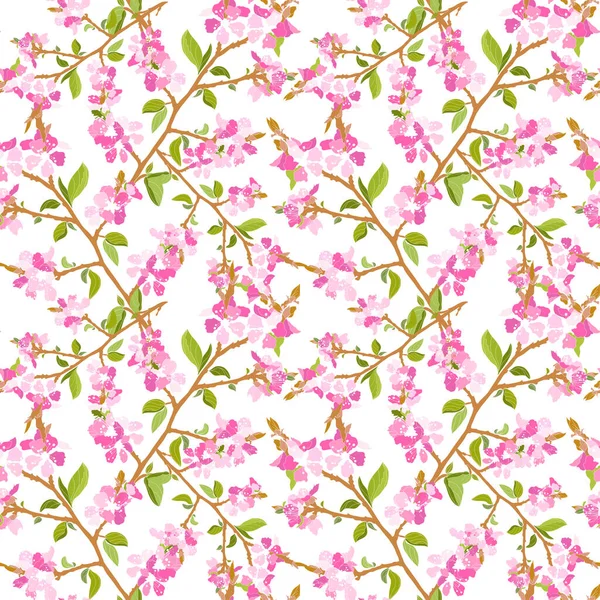 Élégant Motif Sans Couture Avec Des Fleurs Sakura Rose Des — Image vectorielle