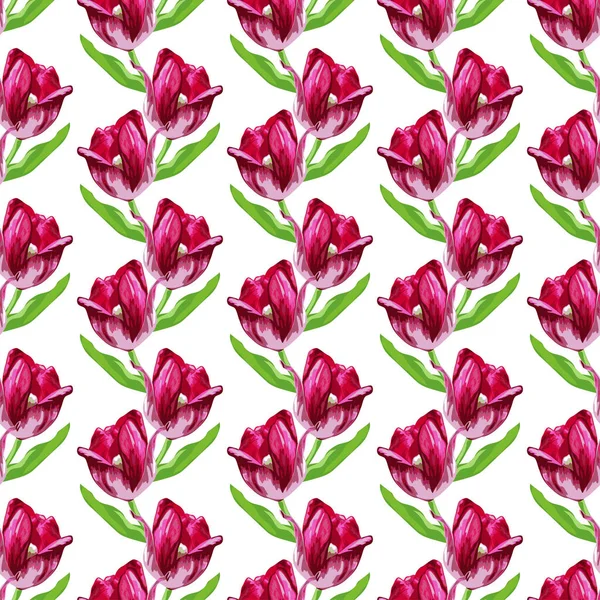 Elegant Sømløse Mønster Med Tulipan Blomster Design Elementer Blomstermønster Til – Stock-vektor