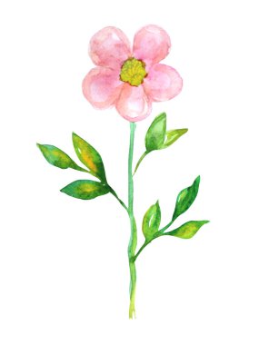 Dekoratif suluboya pembe çiçek klipsi, tasarım elementi. Kartlar, davetiyeler, afişler, posterler, baskı tasarımı için kullanılabilir. Suluboya çiçek arkaplanı