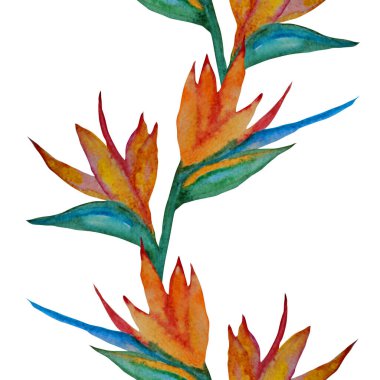 Suluboya çiçekleri ve tasarım elementleriyle zarif, pürüzsüz bir desen. Davetiyeler için çiçek deseni, tebrik kartları, hatıra defteri, baskı, hediye paketi, imalat, tekstil. 