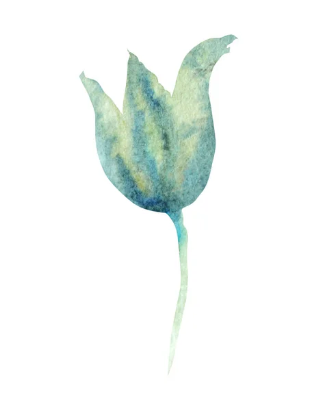 Dekoracyjny Akwarela Kwiat Tulipan Clipart Element Projektu Może Być Stosowany — Zdjęcie stockowe