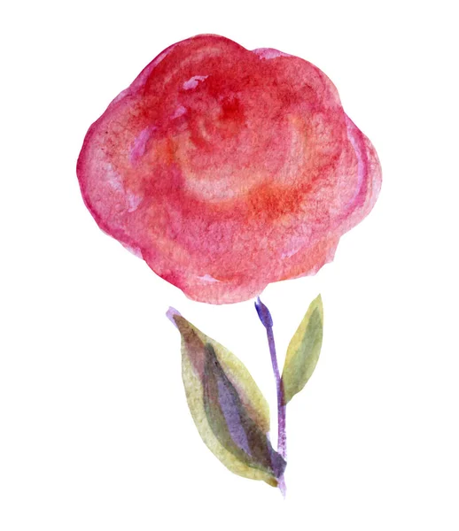 Aquarela Decorativa Rosa Clipart Flor Elemento Design Pode Ser Usado — Fotografia de Stock