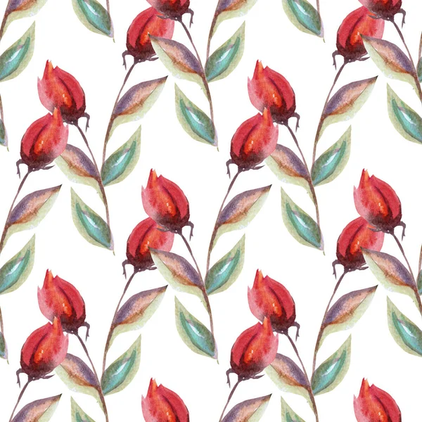 Elegant Seamless Pattern Watercolor Rose Flowers Design Elements Floral Pattern — Stock Photo, Image