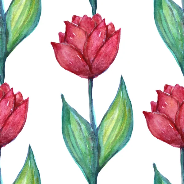 Κομψό Σχέδιο Χωρίς Ραφή Υδατογραφία Τουλίπα Λουλούδια Στοιχεία Σχεδιασμού Floral — Φωτογραφία Αρχείου
