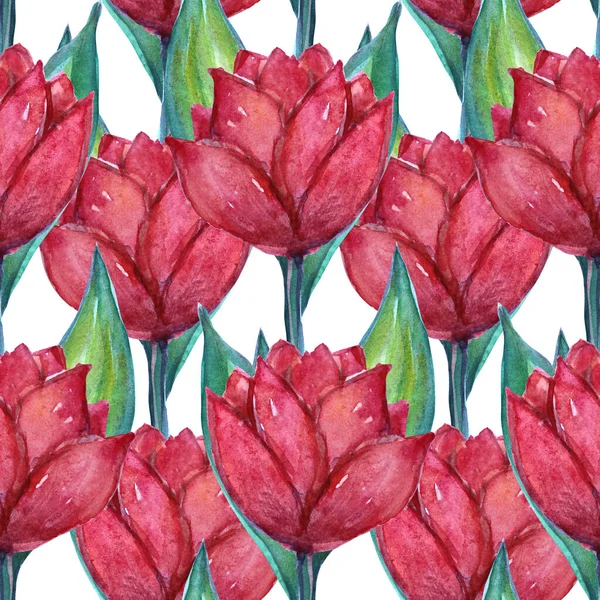 Padrão Sem Costura Elegante Com Flores Tulipa Aquarela Elementos Design — Fotografia de Stock