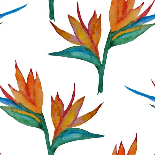 Elegante Naadloze Patroon Met Aquarel Strelitzia Bloemen Design Elementen Bloemenpatroon — Stockfoto