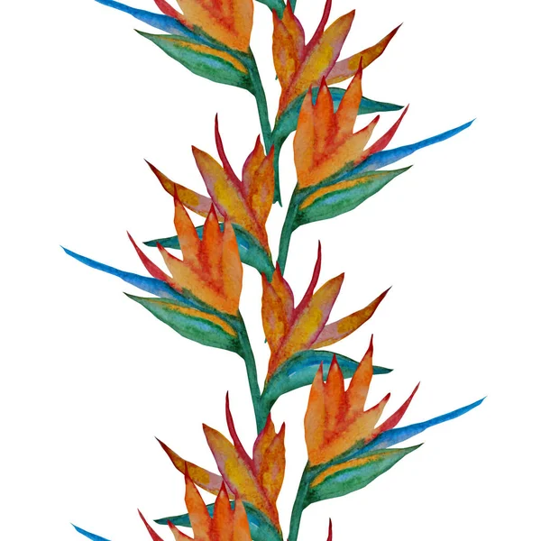 Elegant Seamless Pattern Watercolor Strelitzia Flowers Design Elements Floral Pattern — Stock Photo, Image