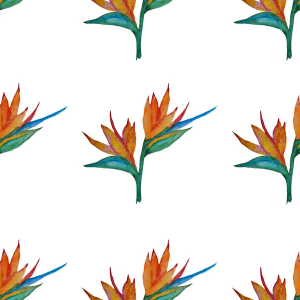 만년설에 줄무늬가 초대장을 꽃무늬 스크랩북 — 스톡 사진
