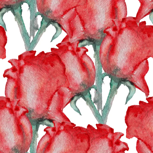 Елегантний Безшовний Візерунок Акварельними Трояндами Елементами Дизайну Квітковий Візерунок Запрошень — стокове фото