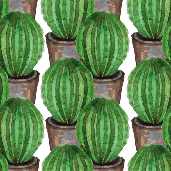 Élégant Motif Sans Couture Avec Des Fleurs Cactus Aquarelle Éléments — Photo