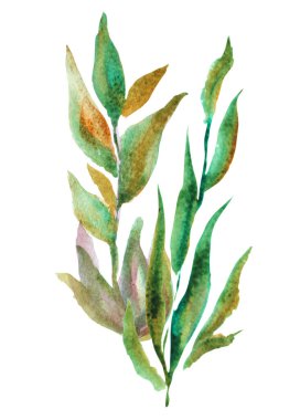 Yapraklı suluboya dalları ve tasarım elementleri olan zarif, pürüzsüz bir desen. Davetiyeler için çiçek deseni, tebrik kartları, hatıra defteri, baskı, hediye paketi, imalat