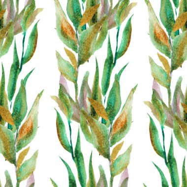 Yapraklı suluboya dalları ve tasarım elementleri olan zarif, pürüzsüz bir desen. Davetiyeler için çiçek deseni, tebrik kartları, hatıra defteri, baskı, hediye paketi, imalat