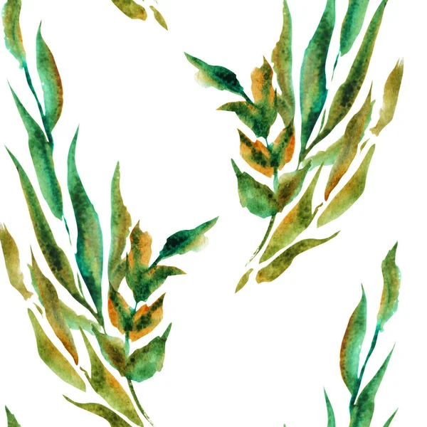 Elegantní Hladký Vzor Akvarelovými Větvemi Listy Designové Prvky Květinový Vzor — Stock fotografie