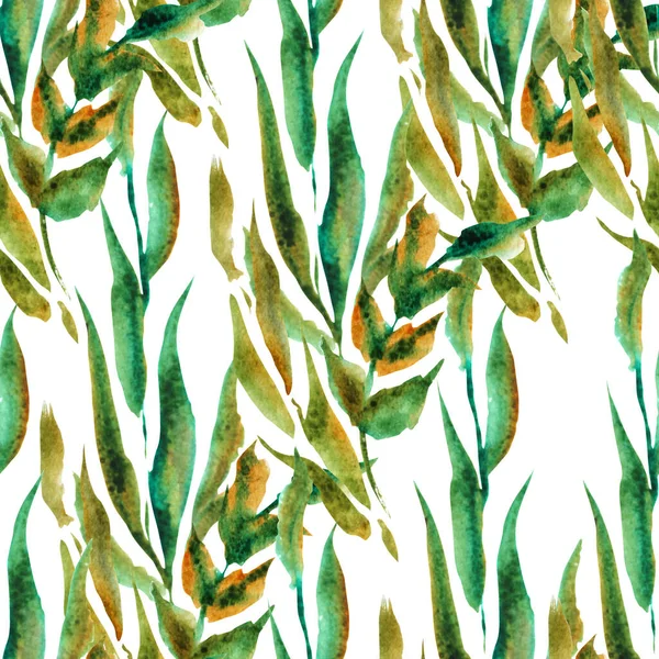 Elegant Seamless Pattern Watercolor Branches Leaves Design Elements Floral Pattern — Stock Photo, Image