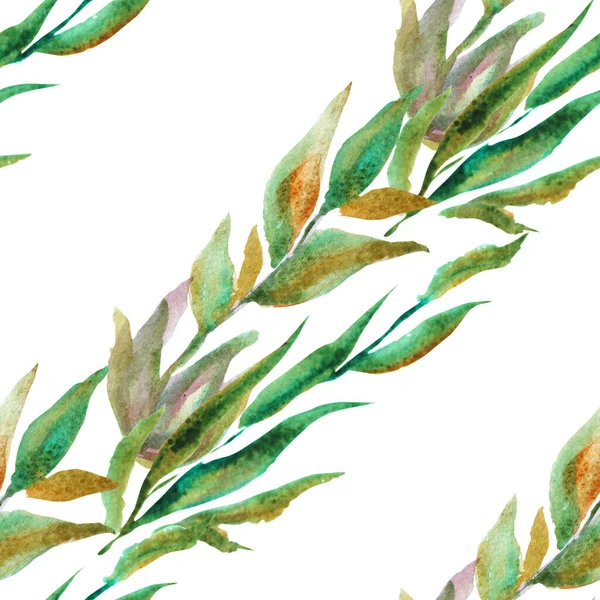 Elegant Seamless Pattern Watercolor Branches Leaves Design Elements Floral Pattern — Stock Photo, Image