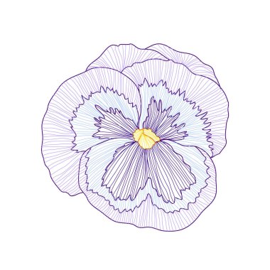 Decorative pansy flower, design element. Can be used for cards, invitations, banners, posters, print design. Floral background in line art style