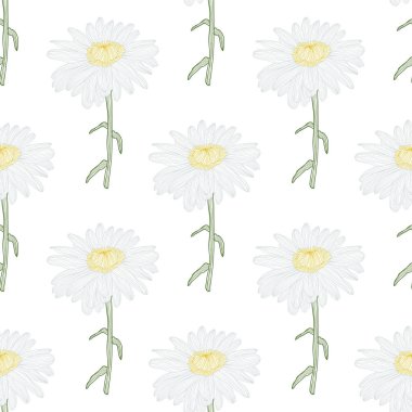 Papatya çiçekleri ve tasarım elementleriyle zarif, pürüzsüz bir desen. Davetiyeler, kartlar, baskı, hediye paketi, imalat, tekstil, kumaş, duvar kağıtları için çiçek deseni