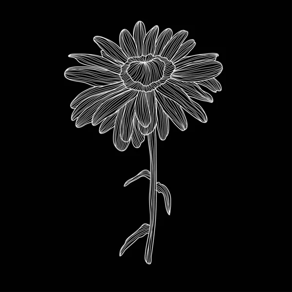 Decorative Chamomile Daisy Flower Design Element Can Used Cards Invitations — ストックベクタ
