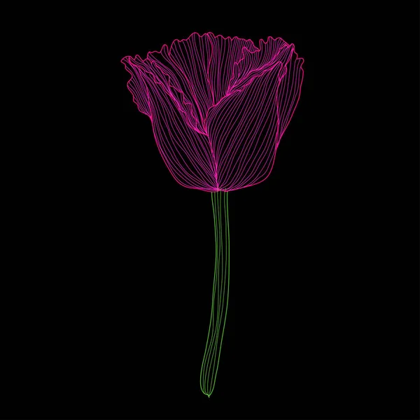 Dekoratif Lale Çiçek Tasarım Öğesi Tasarımını Yazdırma Kartları Davetiyeleri Afişler — Stok Vektör