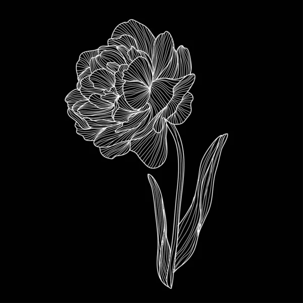 装饰郁金香花 设计元素 可用于卡片 打印设计 花卉背景的线条艺术风格 — 图库矢量图片