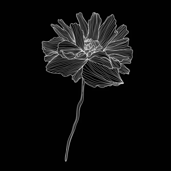 装饰罂粟花 设计元素 可用于卡片 打印设计 花卉背景的线条艺术风格 — 图库矢量图片