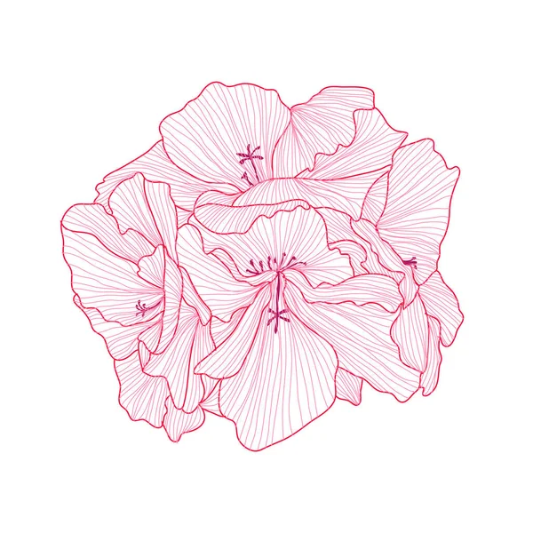 Декоративна Квітка Герані Елемент Дизайну Може Використовуватися Карт Запрошень Банерів — стоковий вектор