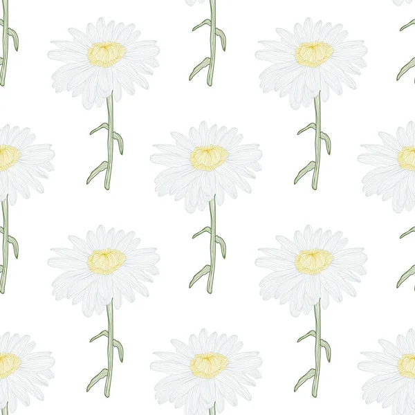 Elegantes Nahtloses Muster Mit Kamillenblüten Designelemente Blumenmuster Für Einladungen Karten — Stockvektor