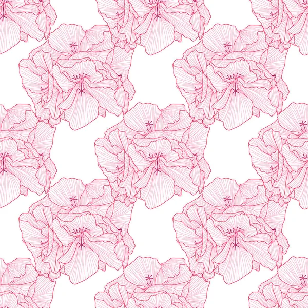 Élégant Motif Sans Couture Avec Des Fleurs Géranium Des Éléments — Image vectorielle