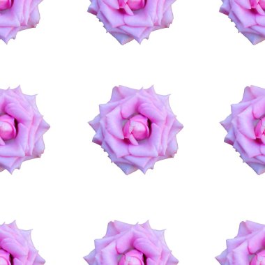 Mor gül çiçekleri ve tasarım elementleriyle zarif, pürüzsüz bir desen. Davetiyeler için çiçek deseni, tebrik kartları, hatıra defteri, baskı, hediye paketi, imalat, tekstil 