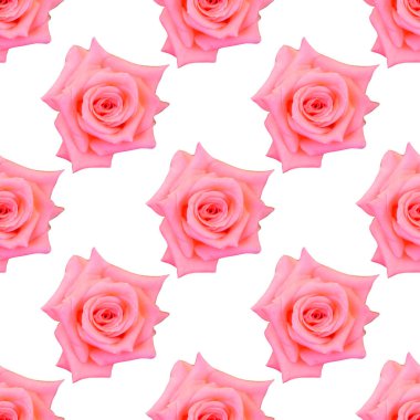 Pembe gül çiçekleri ve tasarım elementleriyle zarif, pürüzsüz bir desen. Davetiyeler için çiçek deseni, tebrik kartları, hatıra defteri, baskı, hediye paketi, imalat, tekstil 